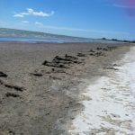 article image - 
